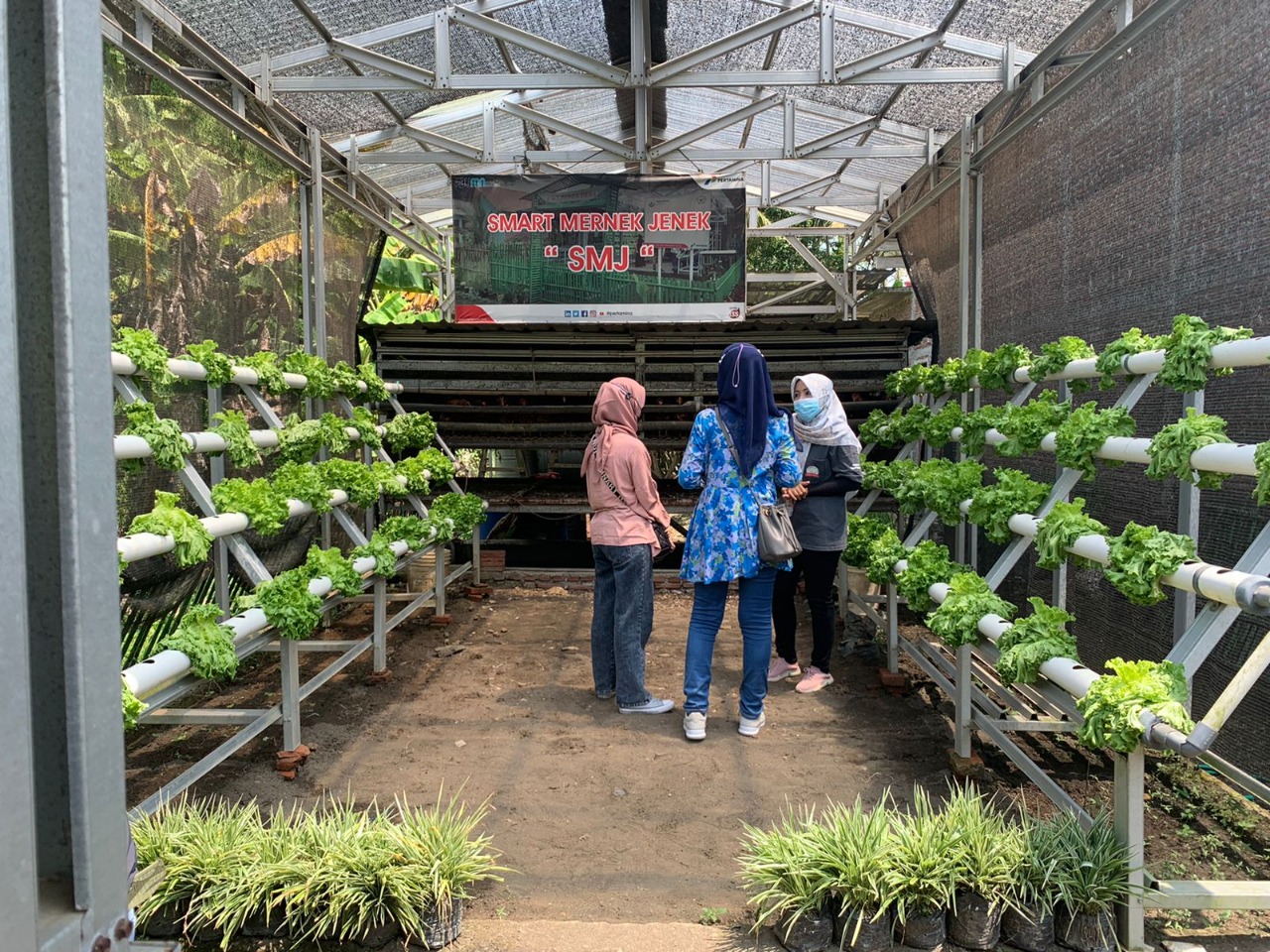Kelompok Wanita Tani di Desa Mernek 