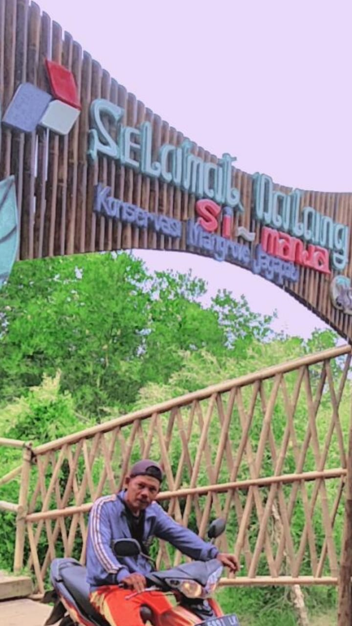 Wisata SIMANJA (Konservasi Mangrove Jagapati)