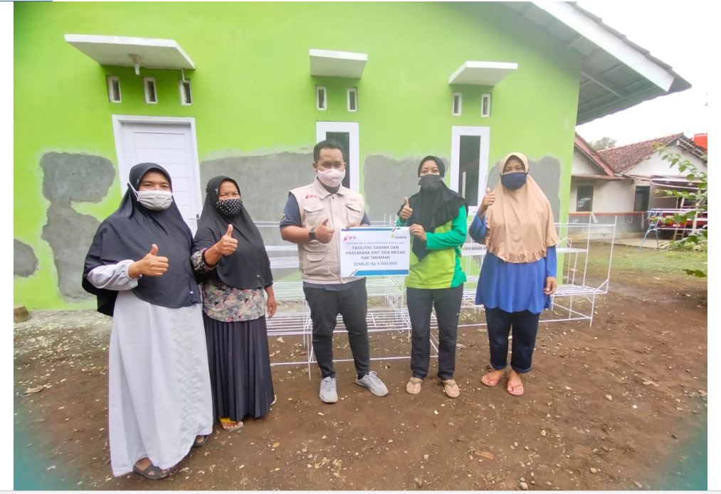 Bantuan Rak Tanaman KWT 