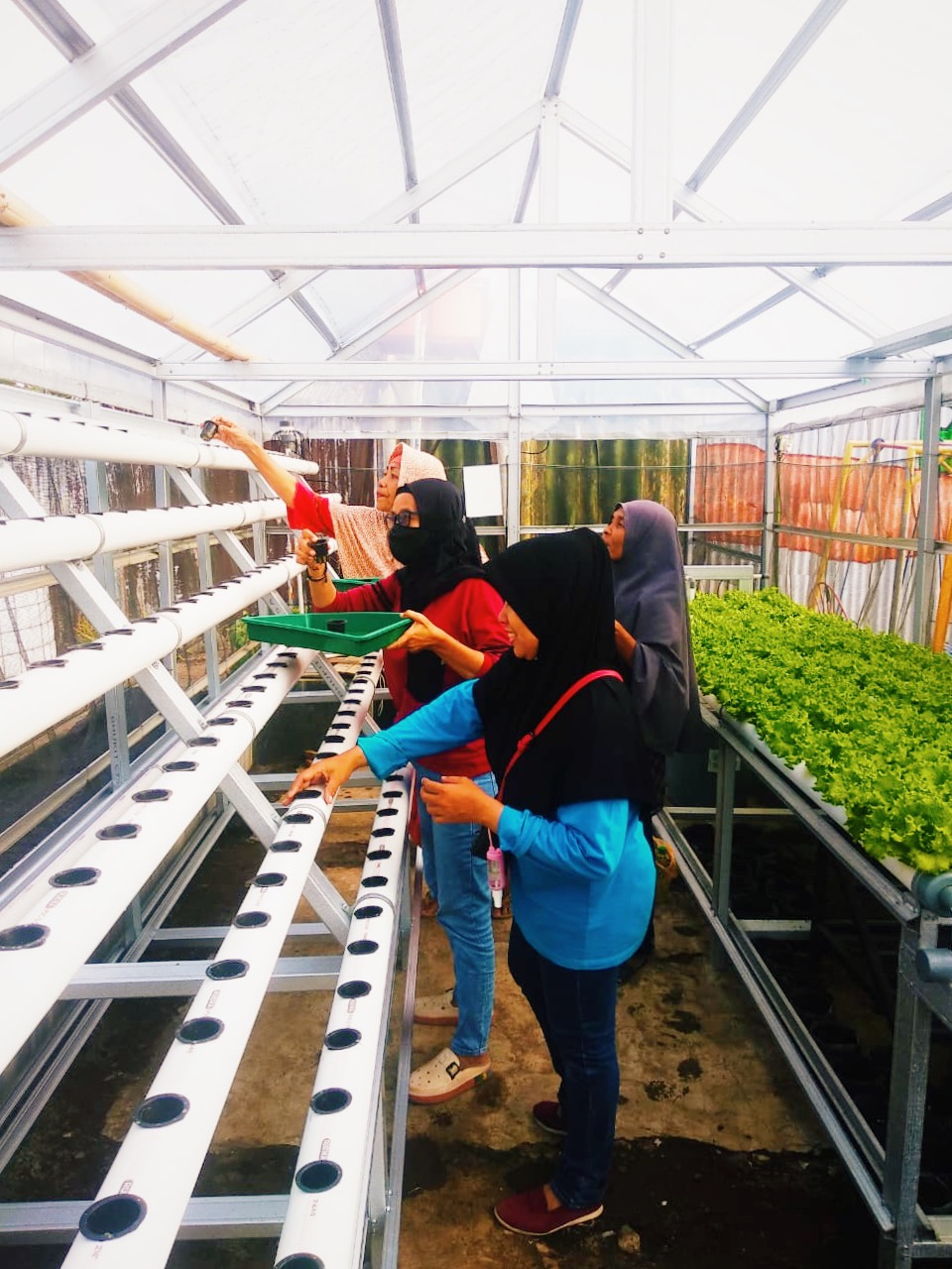 KWT dan UMKM di Jl. Sirkaya Kelurahan Tambakreja