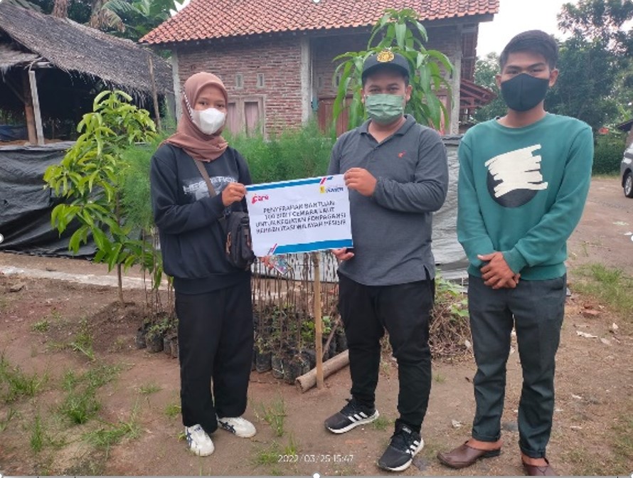 Bantuan pembelian bibit cemara laut untuk kegiatan penanaman pohon Desa Bunton