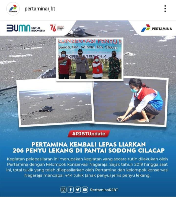 Program Pelestarian Penyu Nagaraja