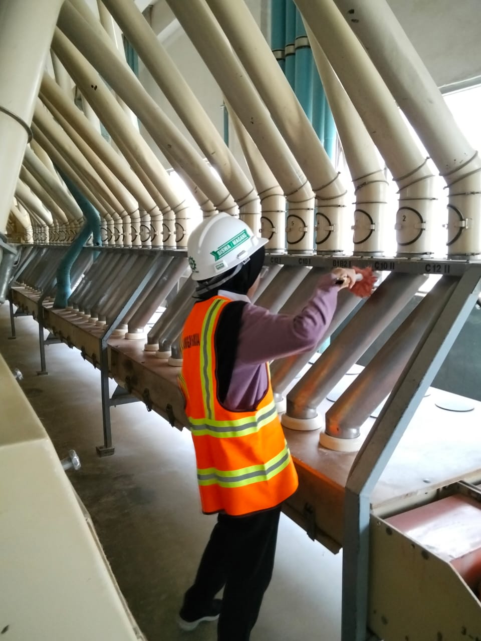 Mahasiswa Universitas Jenderal Soedirman