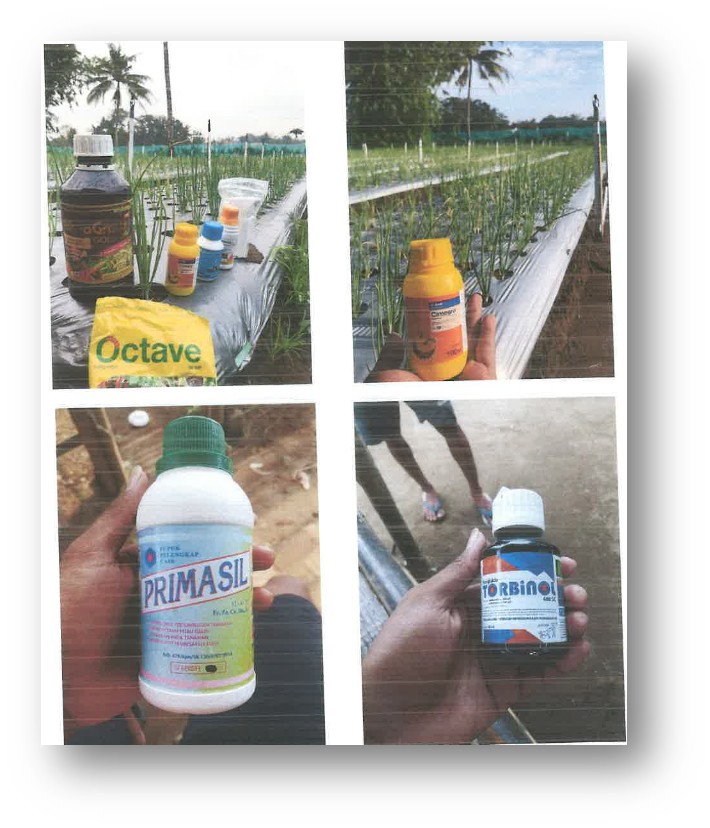 Kelompok Petani Milenial 