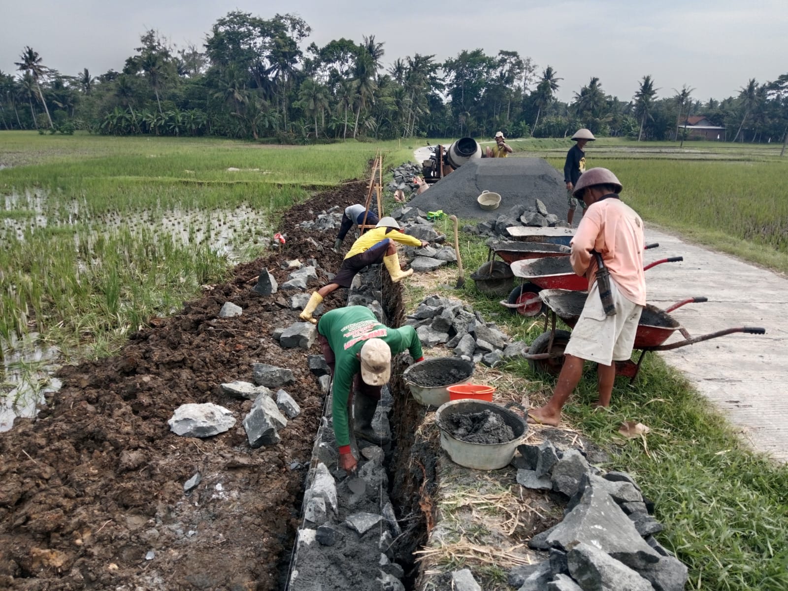 Talud Jalan Kamboja Dusun Kedungdadap Rejamulya Kec Kedungreja Cilacap