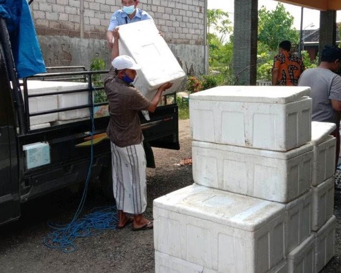 KELOMPOK BUDIDAYA IKAN AIR TAWAR 