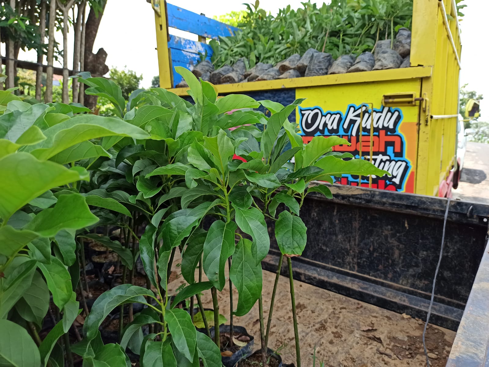 15 Poktan dan Gapoktan di Kab Cilacap