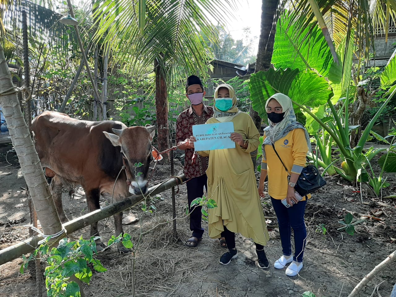 Bantuan Hewan Qurban