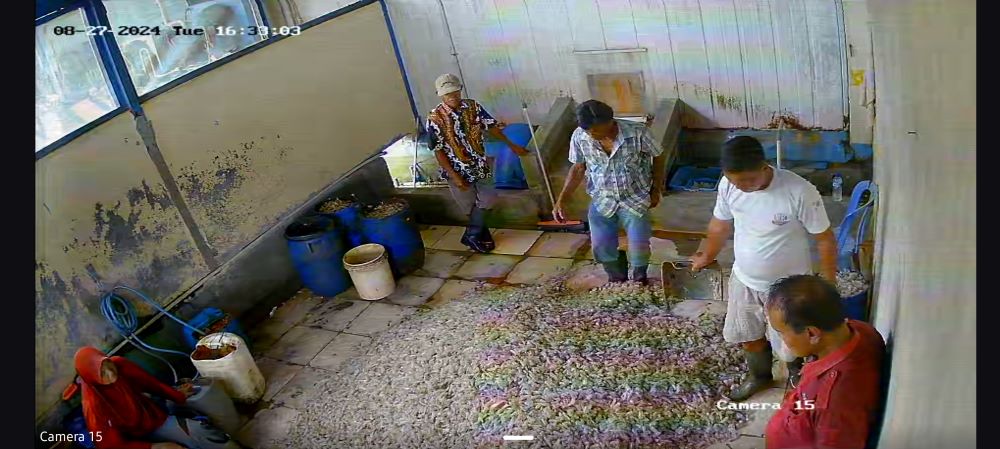 Peternak bebek di Kabupaten Cilacap