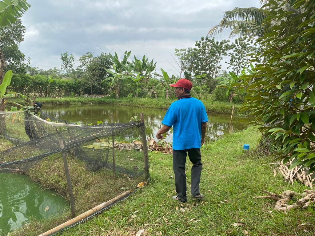 Pokdakkan Ulamsari Desa Mernek Kecamatan Maos