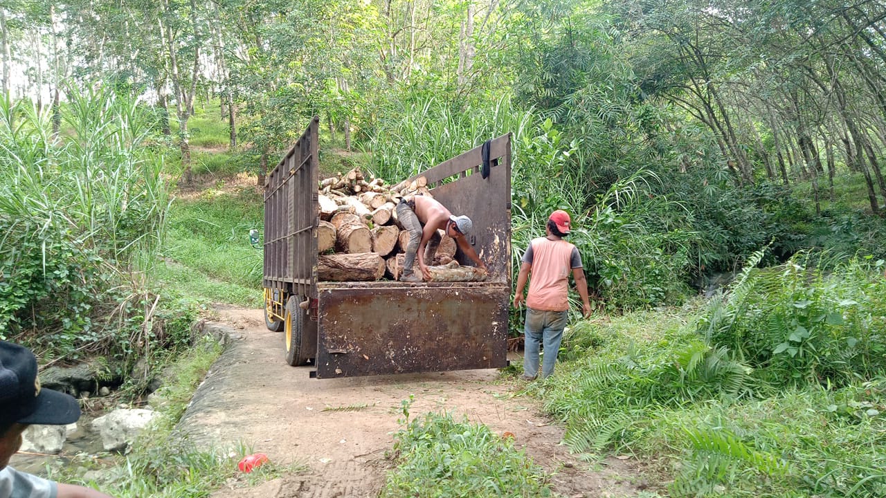 Bantuan kayu bakar