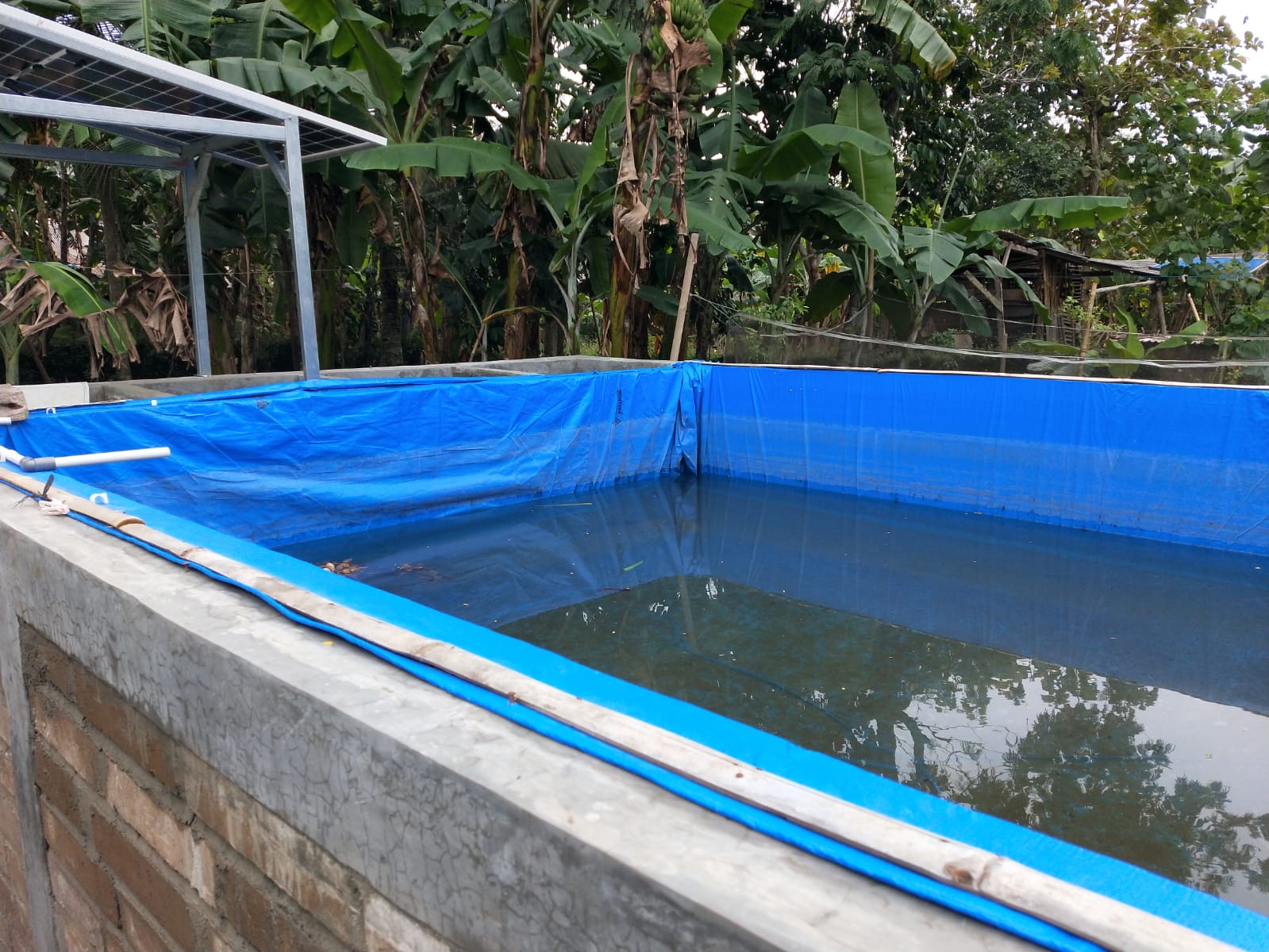 Gabungan Kelompok Pembudidaya Ikan Karya Lestari Desa Wlahar