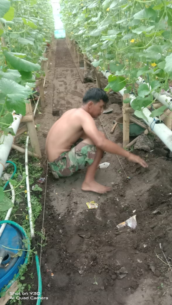 Agrowisata Petani Melon Desa Adiraja 