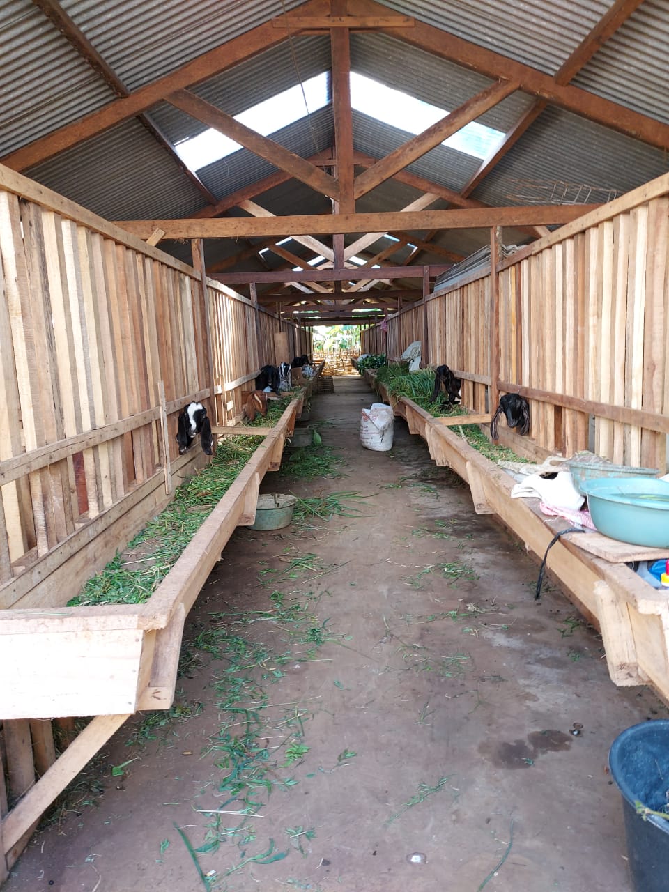 Kelompok Ternak Mendo Saroyo