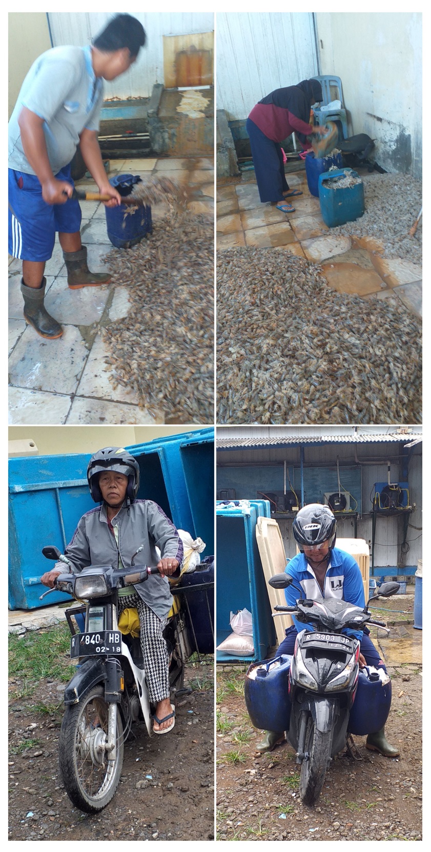 Paguyuban Petenak Bebek Cilacap