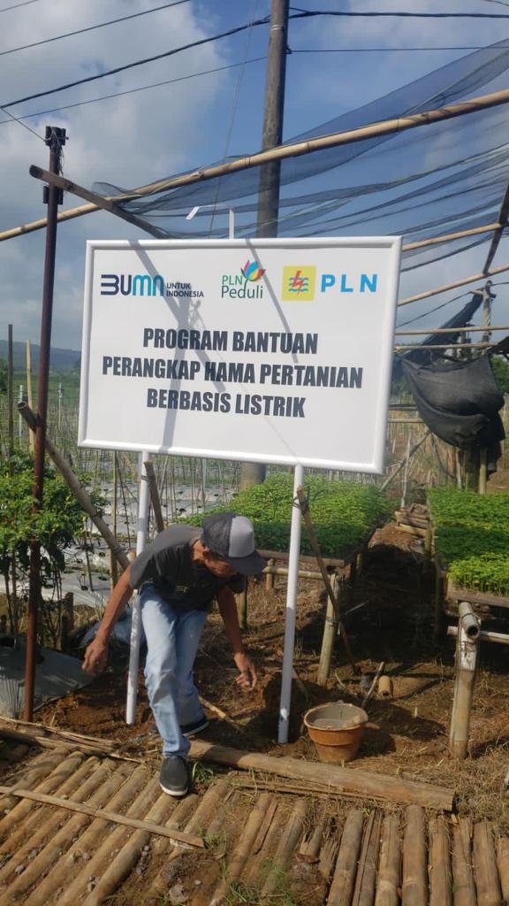 Perhimpunan Petani Holtikultura Cilacap Barat (PHC) Distrik Majenang