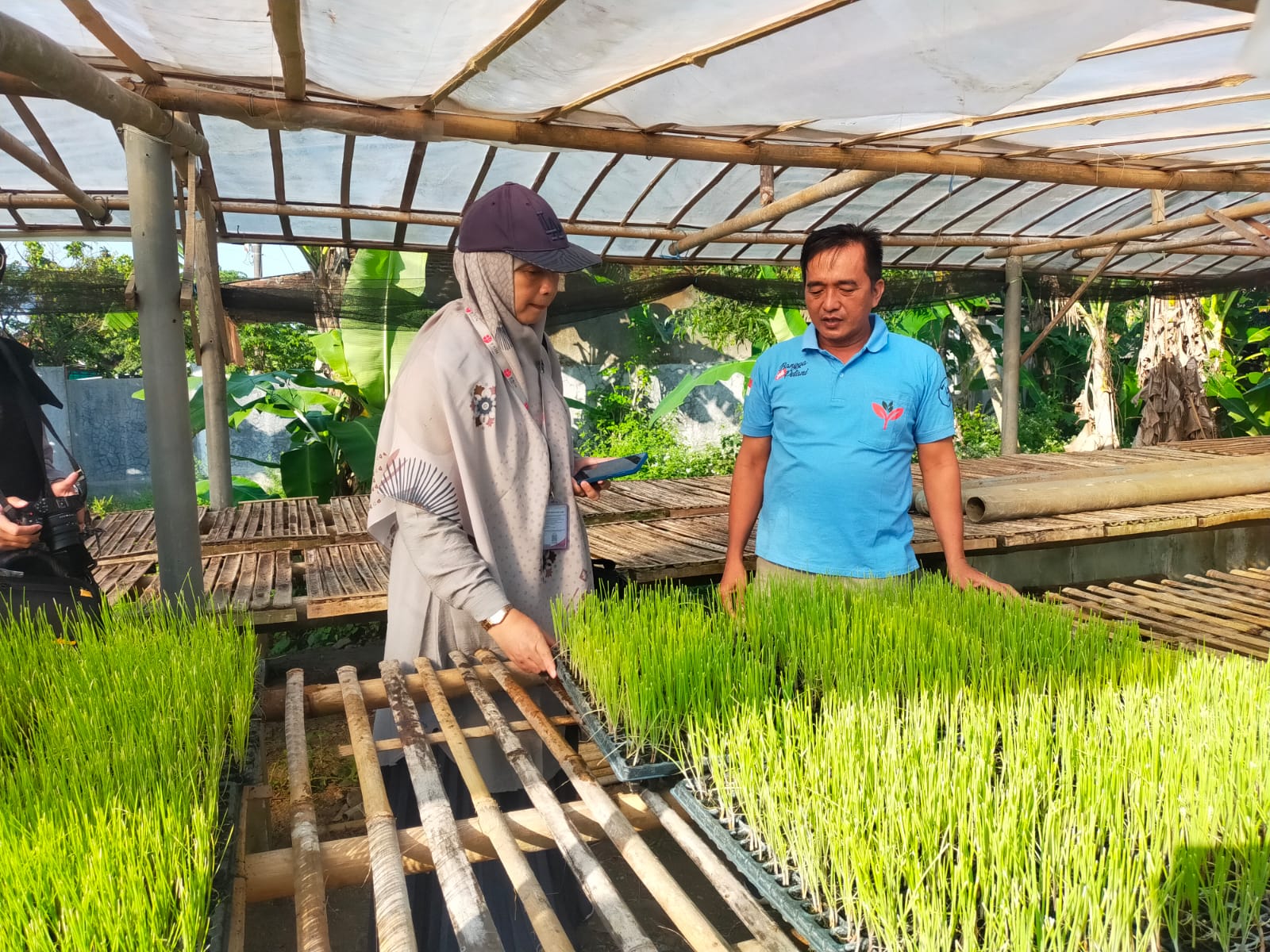 Gapoktan Tani Karya Tani 