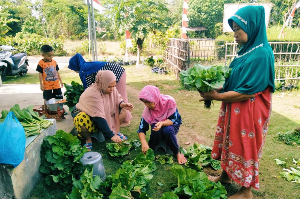 Kelompok Wanita Tani (KWT) Mekar Berseri 