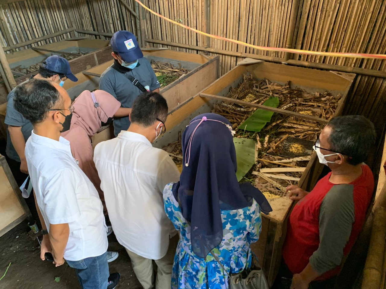 Peternak jangkrik Desa Mernek Kecamatan Maos