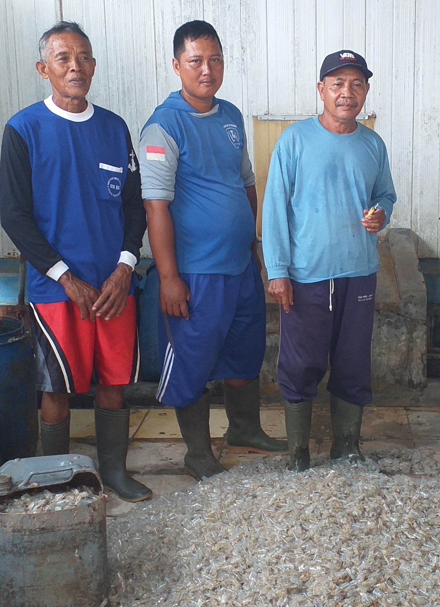 Peternak bebek Kabupaten Cilacap