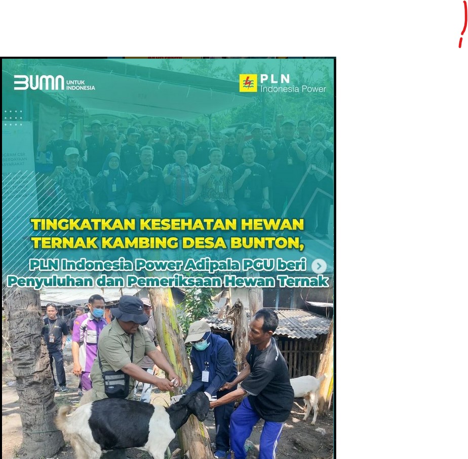 Kelompok Peternak kambing Desa BUnton  Kecamatan Adipala 