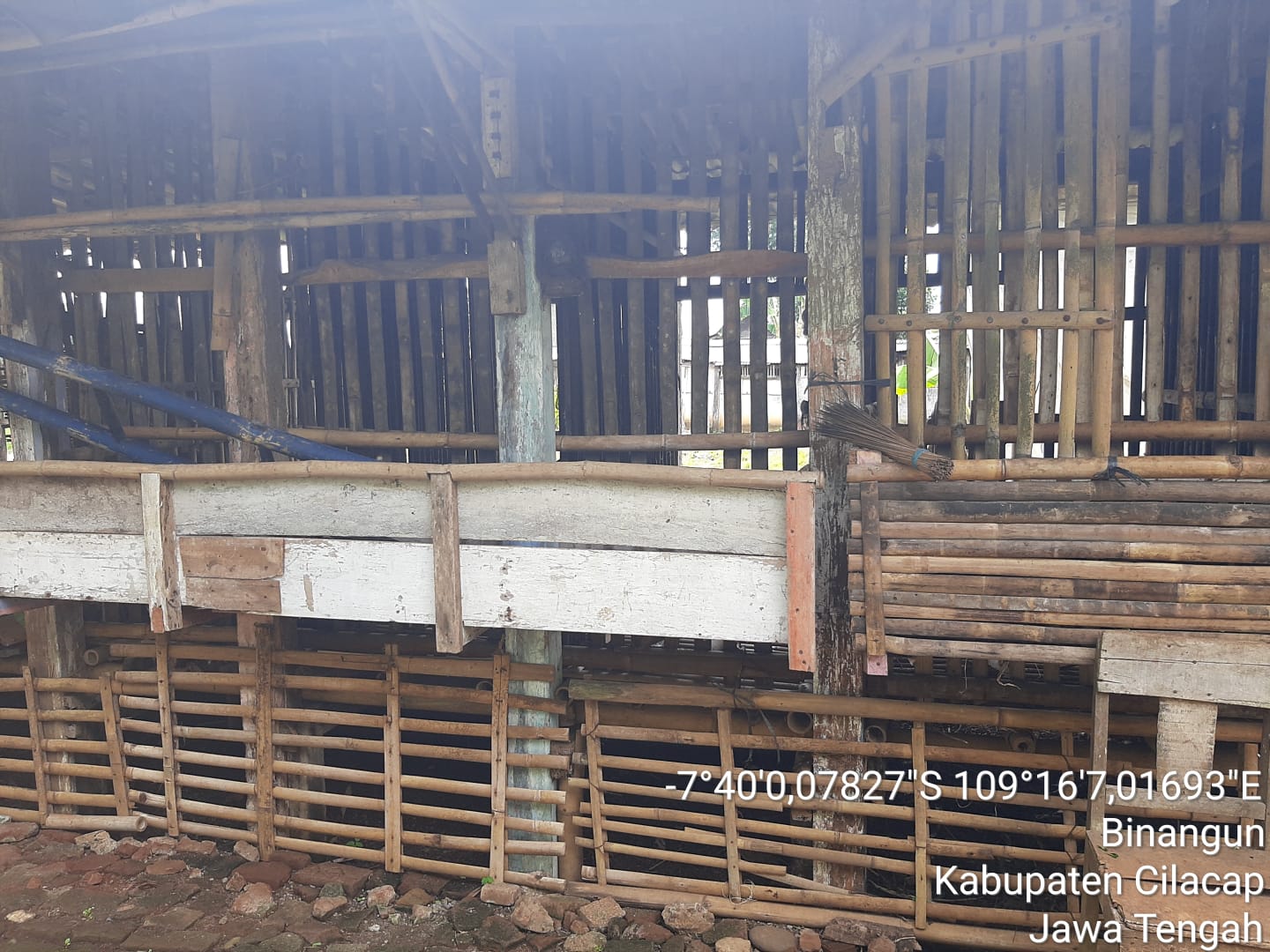 Kandang dan Ternak Kambing