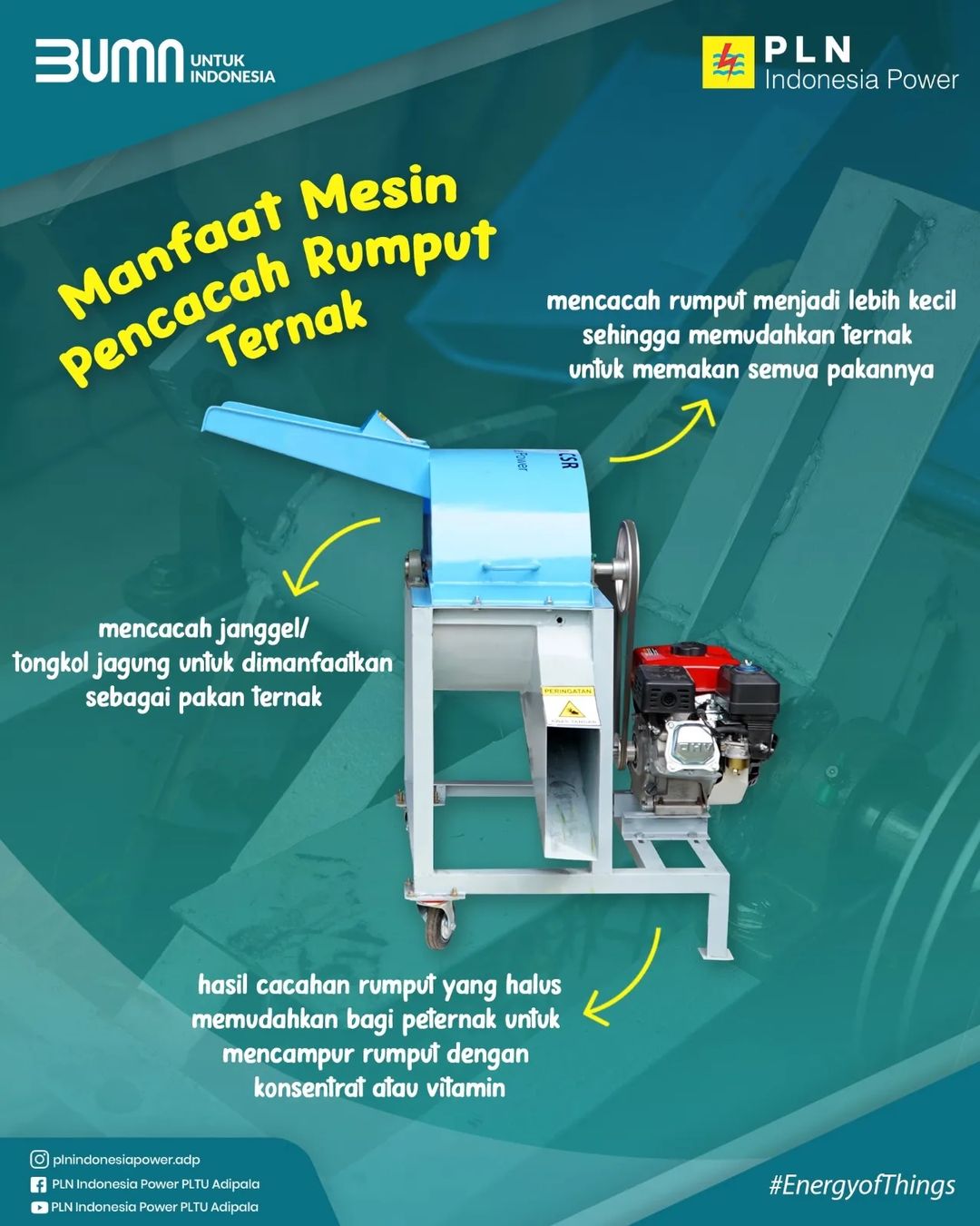 Kelompok Kambing Desa Bunton Kecamatan Adipala Kabupaten Cilacap 