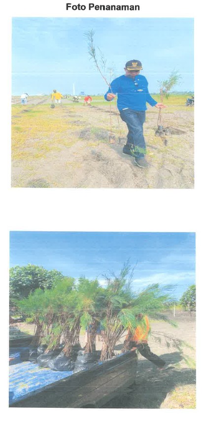 CEMARA SEWU DESA BUNTON 