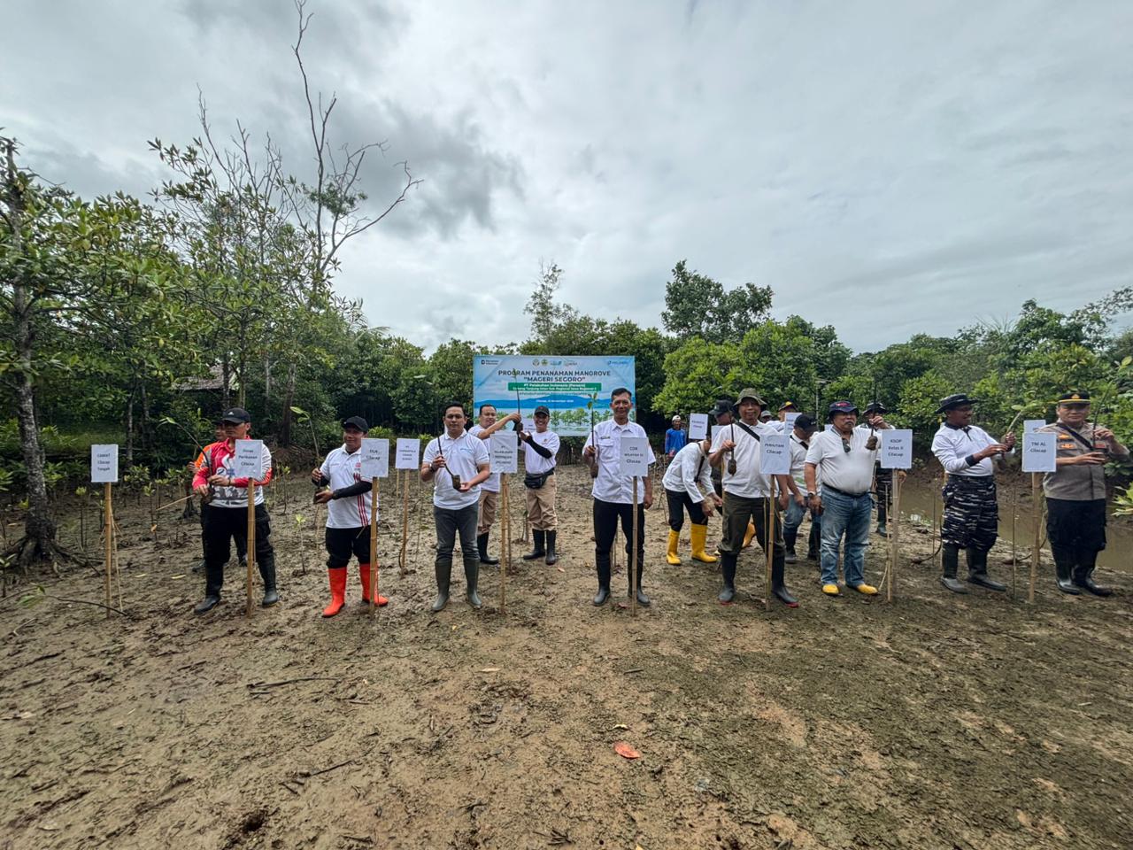 Kelompok Pelestari Mangrove Sida Asih