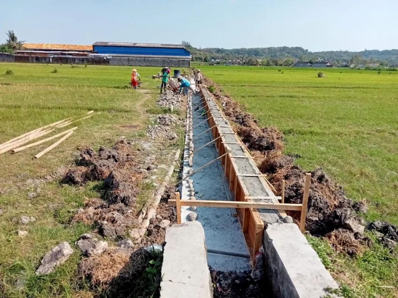 PERSAWAHAN DI  WILAYAH DESA SIDAREJA